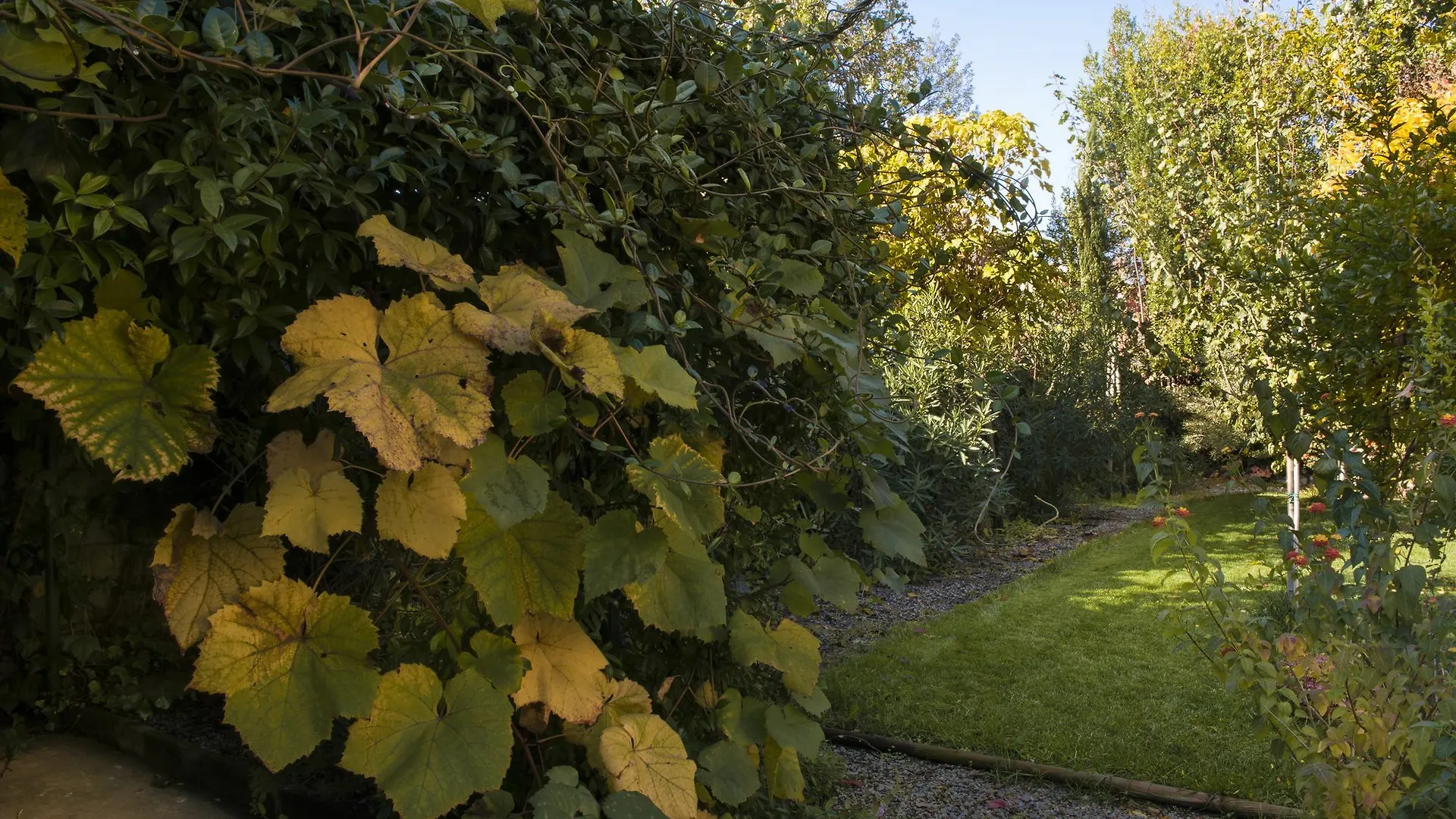 Al Porto Di Lucca B&B